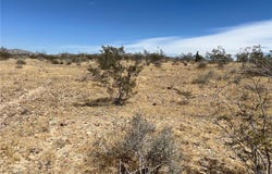 Leaping Lizard Lane, Apple Valley, CA 92307
