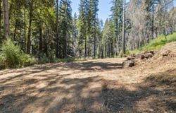 Lot 03 & 06 Branson RNCH, BOULDER CREEK, CA 95006