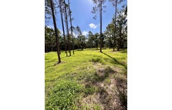 NE Webb Ln, Steinhatchee, FL 32359