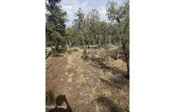 1522 Foxtail Lane, Heber, AZ 85928