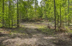 Valencourt Road, Copemish, MI 49625