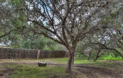 704 Alex Auld, Leakey, TX 78873