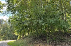 Balsam Dr, Newland, NC 28657