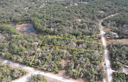 LEWIS Lane, WEBSTER, FL 33597