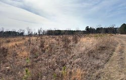 Red Springs Road, Gurdon, AR 71743