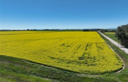 750 E Division Road, Fort Shaw, MT 59443