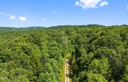 Willie Boyatt Rd, Oneida, TN 37841
