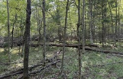 V/L Timber Trail, Prescott, MI 48756