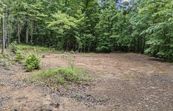 1656 Walnut Valley Drive, Dover, AR 72837