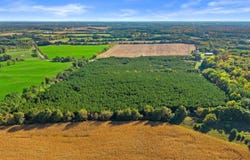 MERRYLAND DRIVE lot: 1, Custer, WI 54423