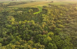 272nd Ln, Stuart, IA 50250