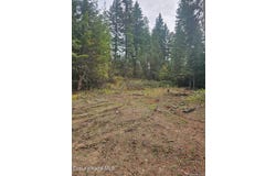 821 Willow Loop Rd, Fernwood, ID 83830