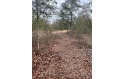 Whl 8 Rainbow Drive, Salley, SC 29137