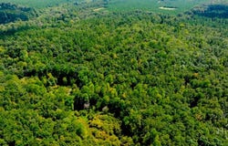 Waynesboro, GA 30830