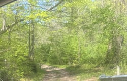 Anna Ln, Clairfield, TN 37715