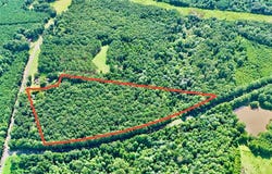 211 County Road 8, Clio, AL 36017
