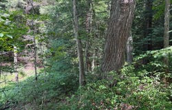 Hatch Run Rd, Warren, PA 16365