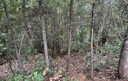 487 MONTGOMERY Ave, Glendale, OR 97442