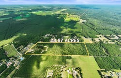 355 Mcclam Road, Cades, SC 29518