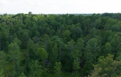 Pond Road lot: 1, Burnham, ME 04922