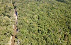 Highway 407, Kilmichael, MS 39747