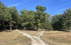 1747 State Route 137, Willow Springs, MO 65793