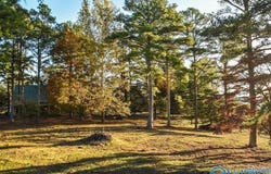 157 Edmonds Drive, Grant, AL 35747