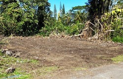 MOANO ST, Pahoa, HI 96778