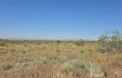 175th St E W14, Llano, CA 93591