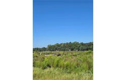 River Road, Midway, GA 31320