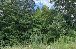 Bobcat Lane lot: 89, Wilder, TN 38589