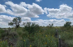 GOODRICH GULCH, Valle de Oro, TX 79010