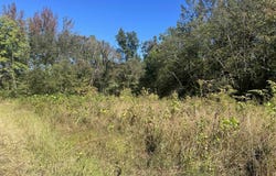 WALLS Rd, Somerville, TN 38068