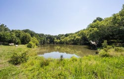 525 E Hwy C, Jerico Springs, MO 64756