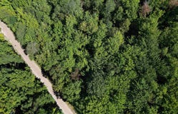 3576 Wildwood Lane lot: 1, Kewadin, MI 49648