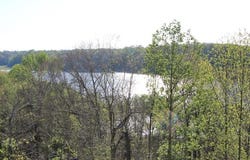73 Willow Tree Circle lot: 30A, 31 & 32, Austin, KY 42123