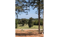16416 Ridgeline Loop, Winona, TX 75792