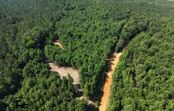 0 Mars Hill Cemetery Road, Marion, AL 36756