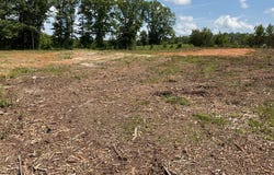 3575 Centenary Rd, LUVERNE, AL 36049
