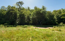 820 Shooting Fork Road, Campton, KY 41301