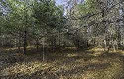CTH H lot: # 8, Boulder Junction, WI 54512