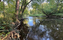 W10712 Popple River Road, Thorp, WI 54771