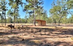 679 Live Oak Drive, Windsor, SC 29856