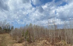 NEAR WILSON LAKE RD, Phillips, WI 54555