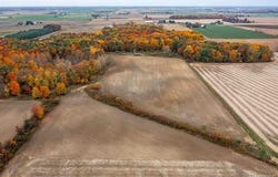 WOOD Road, Marlette Twp, MI 48453