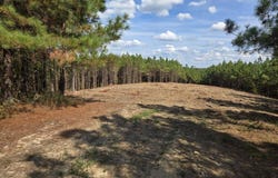 189 Evergreen Drive, DOVER, TN 37058