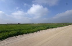 Madera, CA 93638