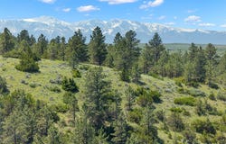 23 Beartooth Lane, Columbus, MT 59019