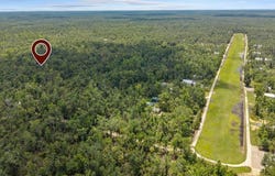2338 NE Ancient Oaks Dr, Steinhatchee, FL 32359