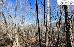 234 Lakeledge Road, Beech Mountain, NC 28604
